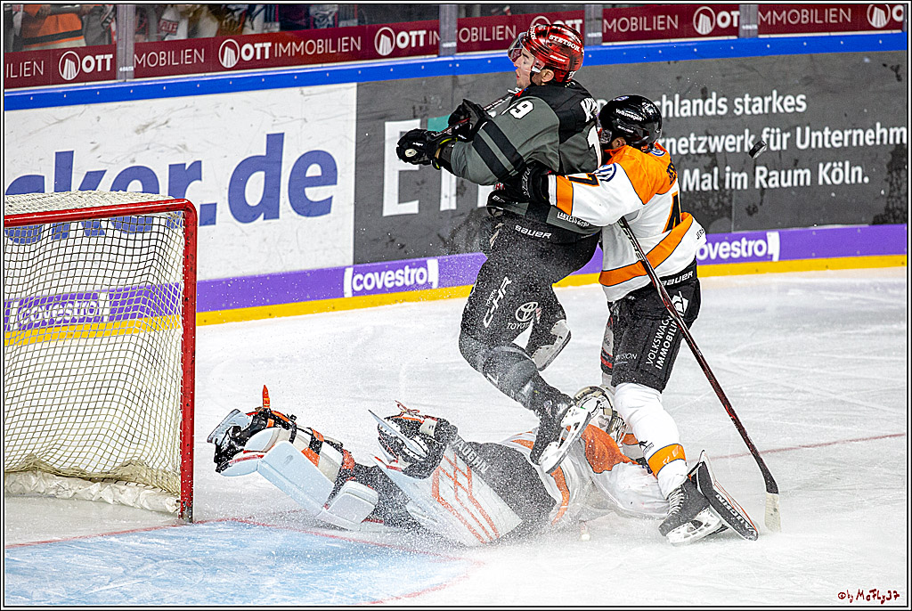 DEL Koelner Haie - Grizzlys Wolfsburg, 23.09.2018